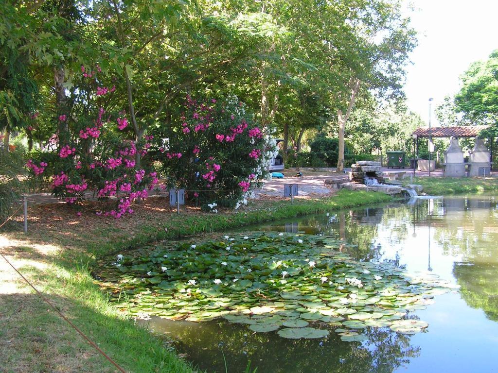 Camping Villaggio Italgest SantʼArcangelo Εξωτερικό φωτογραφία